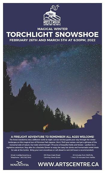 Poster for Magical Torchlight Snowshoe