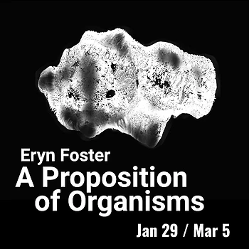 Poster for ZOOM Artist Talk / Eryn Foster