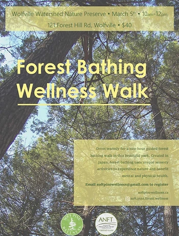 Poster for Forest Bathing Wellness Walk