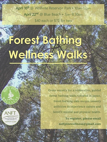 Poster for Forest Bathing