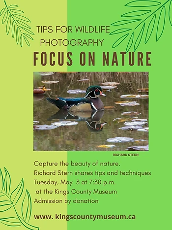 Poster for Focus on Nature