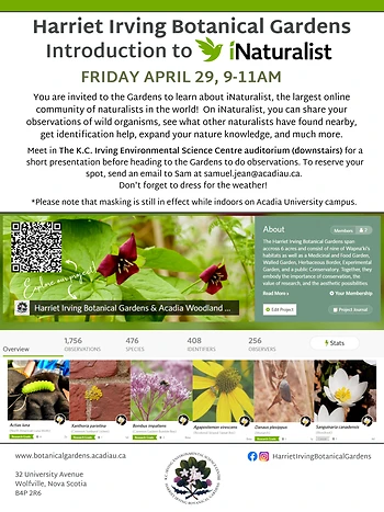 Poster for Introduction to iNaturalist