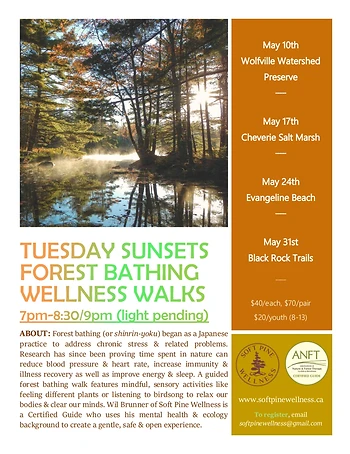 Poster for Guided Forest Bathing Wellness Walk