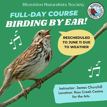 Poster for Birding by Ear Course