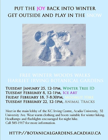 Poster for Winter Tree ID Hike