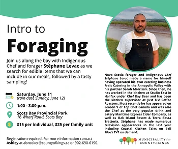 Poster for Intro to Foraging