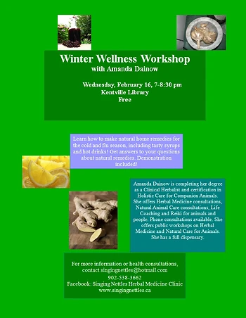 Poster for Winter Wellness Workshop