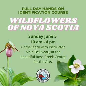 Poster for Wildflowers of Nova Scotia Course