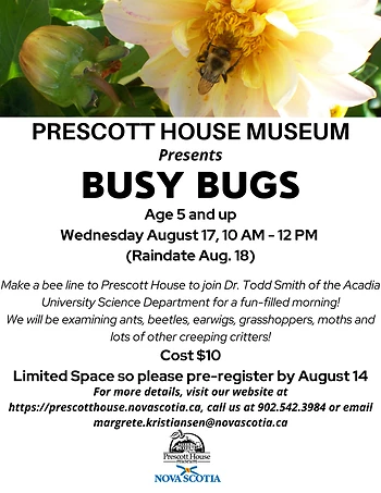 Poster for Busy Bugs
