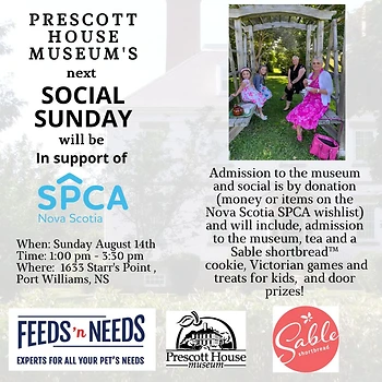 Poster for Social Sunday for NSSPCA