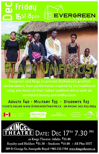 Poster for Black Umfolosi