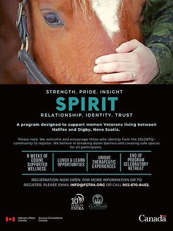 Poster for SPIRIT