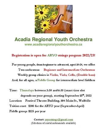 Poster for Fiddle Group + Youth String Orchestra