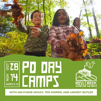 Poster for Autumn Arts PD Day Camps