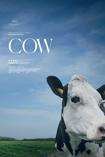 Poster for Cow w/ Silla Flaherty-The Thrill of the Hunt