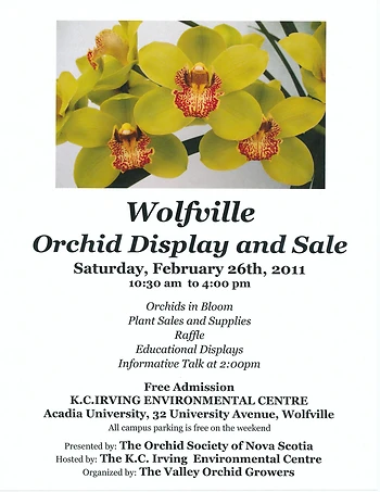 Poster for Orchid Display and Sale