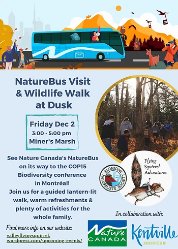 Poster for NatureBus Visit & Wildlife Walk at Dusk