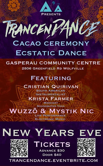 Poster for TrancenDance New Years Eve