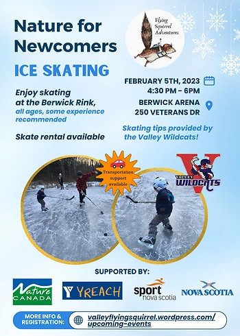 Poster for Nature for Newcomers: Ice Skating!