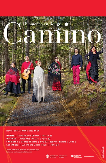 Poster for CAMINO