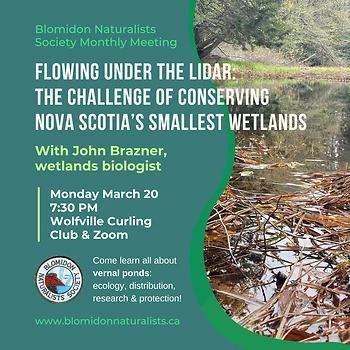 Poster for Flowing Under the LIDAR: The Challenge of Conserving Nova Scotia's Smallest Wetlands