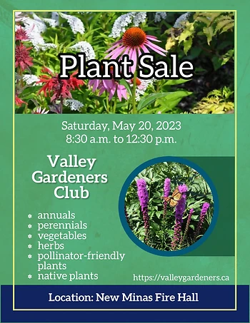 Poster for Plant Sale