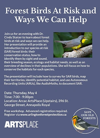 Poster for Forest Birds at Risk and Ways We Can Help