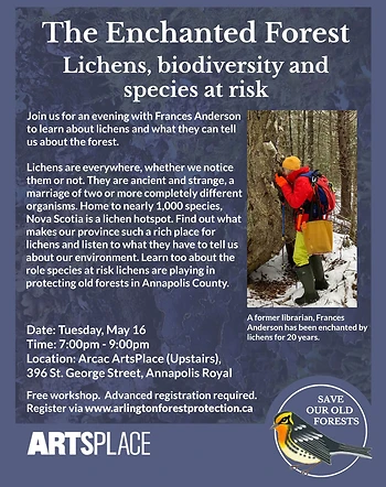 Poster for The Enchanted Forest: Lichens, biodiversity and species at risk