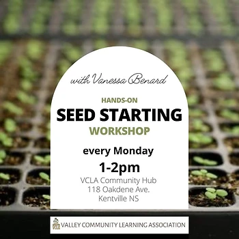 Poster for Hands-On Seed Starting
