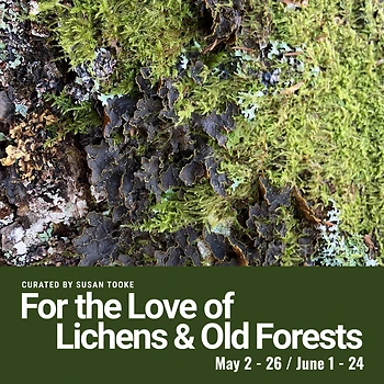 Poster for Opening / For the Love of Lichens and Old Forests