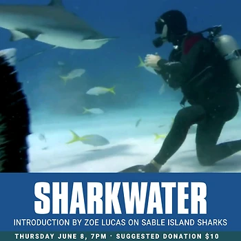 Poster for Sharkwater / Zoe Lucas introduction