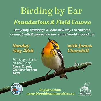 Poster for Birding by Ear Foundations & Field Course