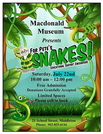 Poster for Snakes