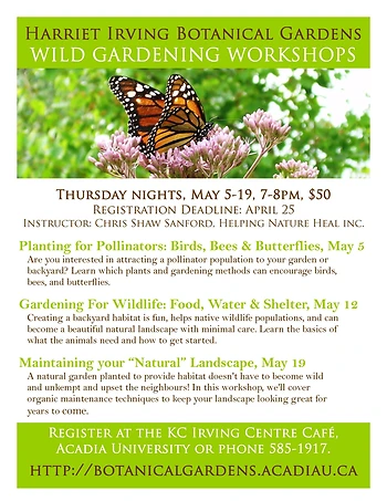 Poster for Wild Gardening Workshops