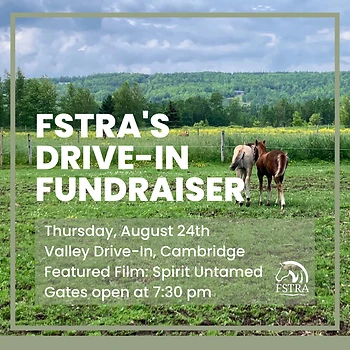 Poster for Fundraiser - Spirit Untamed