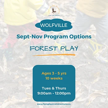 Poster for Forest Play