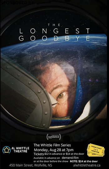 Poster for The Longest Goodbye