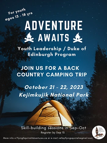 Poster for Adventurours Journey - Duke of Ed.