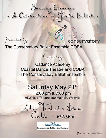 Poster for Soaring Elegance