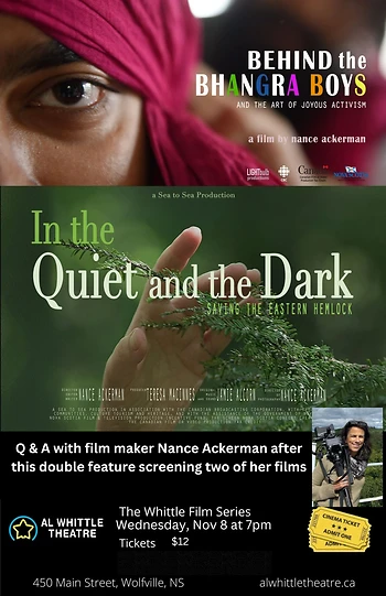 Poster for Behind the Bhangra Boys/In the Quiet at the Dark