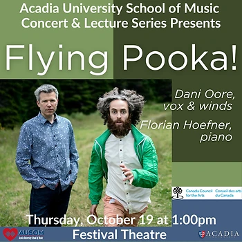 Poster for Flying Pooka!