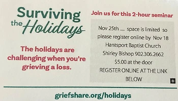 Poster for Surviving the Holidays