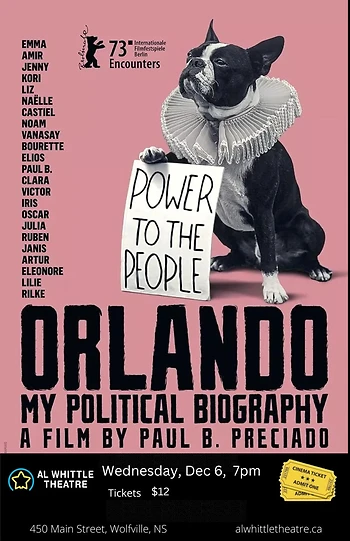Poster for Orlando My Political Biography