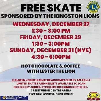 Poster for Public Skating
