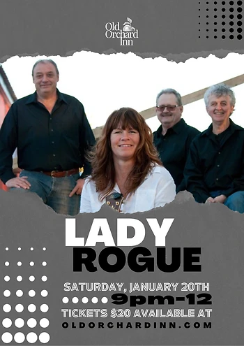 Poster for Lady Rogue