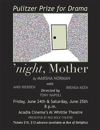 Poster for 'Night Mother