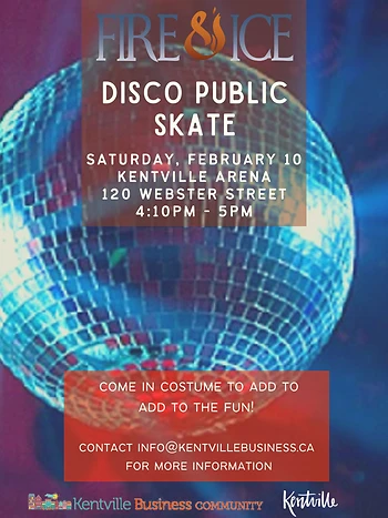 Poster for Fire & Ice Disco Skate