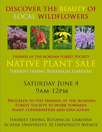 Poster for Native Plant Sale