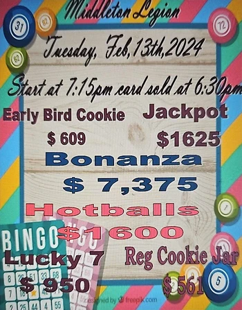 Poster for Bingo