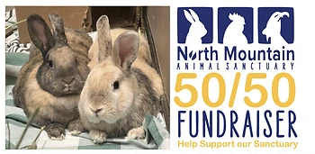 Poster for Animal Sanctuary Fundraiser
